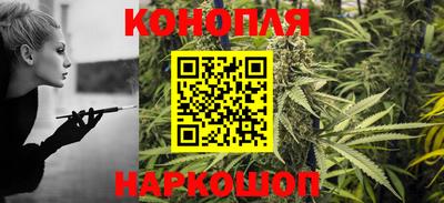 стафф Моздок