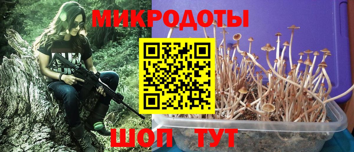 Тимашёвск  Галлюциногенные грибы GOLDEN TEACHER  Вход с VPN  Псилоцибиновые грибы ЛСД 
